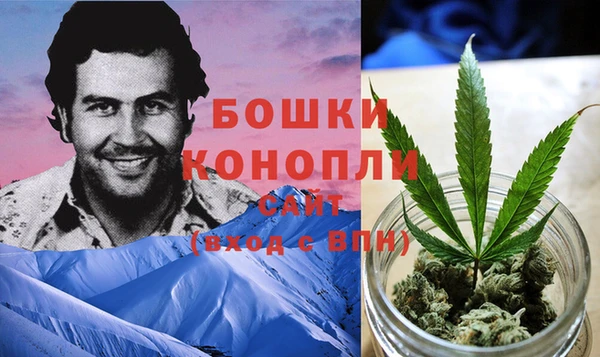 ПСИЛОЦИБИНОВЫЕ ГРИБЫ Волосово