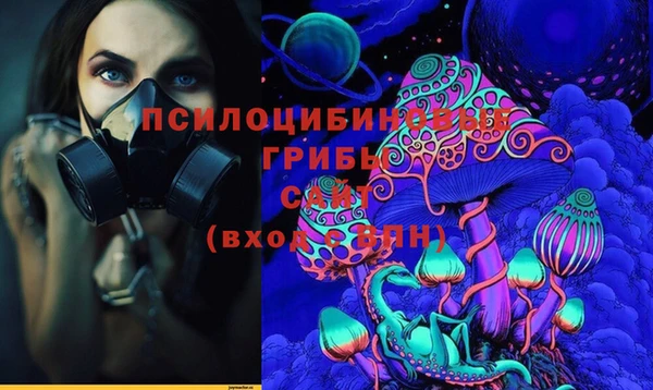 твердый Данков