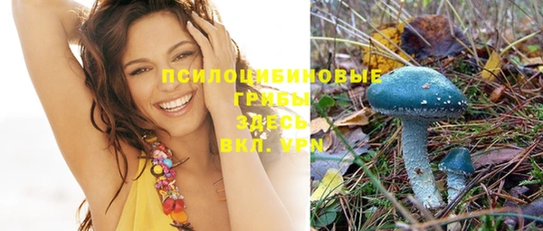 ПСИЛОЦИБИНОВЫЕ ГРИБЫ Волосово