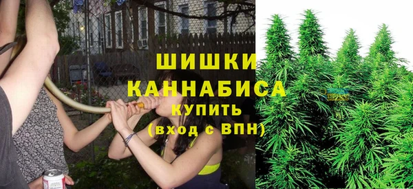 шишки Верхнеуральск