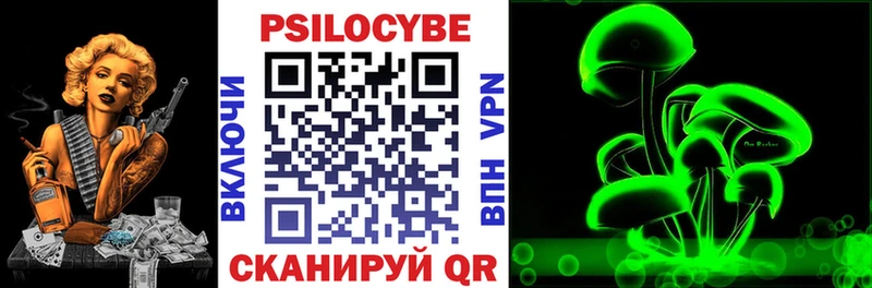 darknet формула  Ельня  Псилоцибиновые грибы прущие грибы 